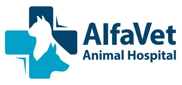 AlfaVet Animal Hospital