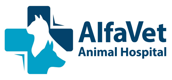 Alfavet Animal Hospital Serving Farmington Hills Mi